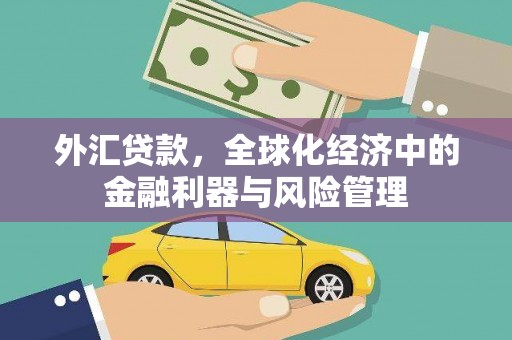 狮子山外汇贷款，全球化经济中的金融利器与风险管理