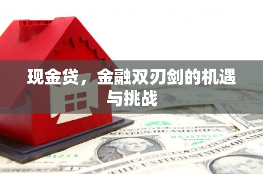 狮子山现金贷，金融双刃剑的机遇与挑战