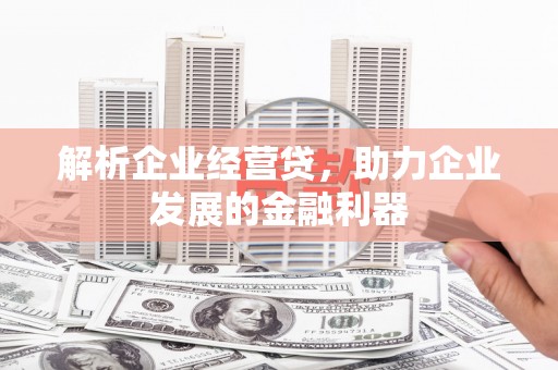 狮子山解析企业经营贷，助力企业发展的金融利器