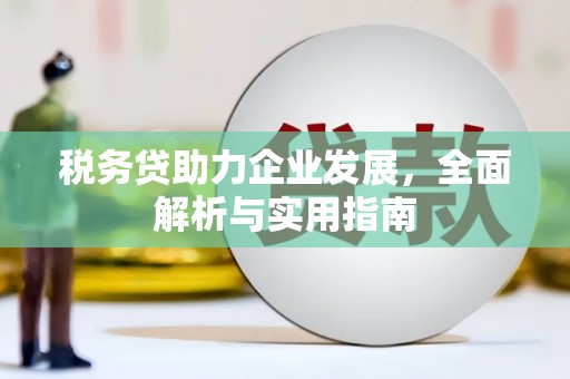 狮子山税务贷助力企业发展，全面解析与实用指南
