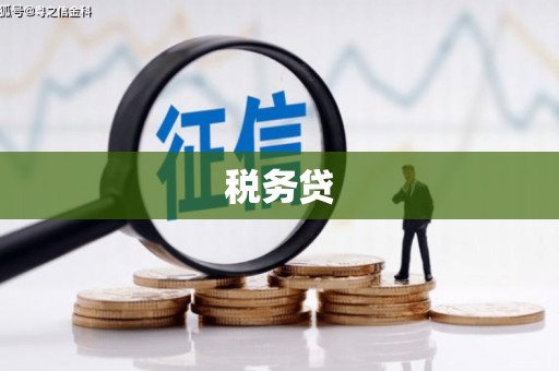 狮子山税务贷