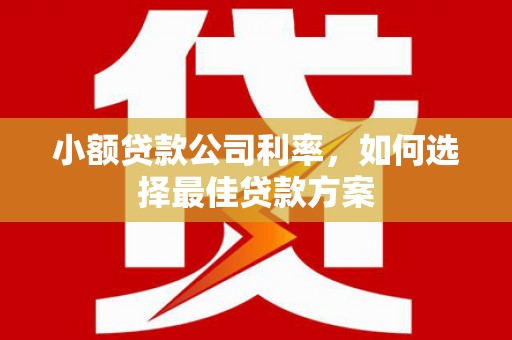 狮子山小额贷款公司利率，如何选择最佳贷款方案
