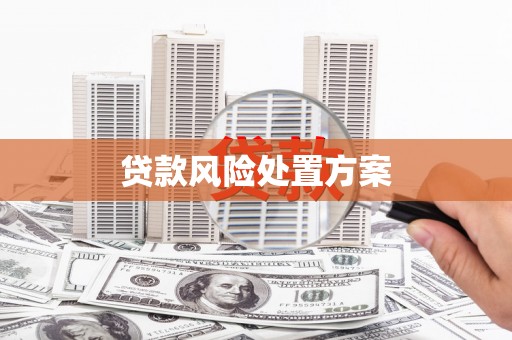 狮子山贷款风险处置方案