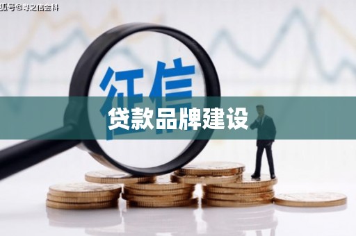 狮子山贷款品牌建设