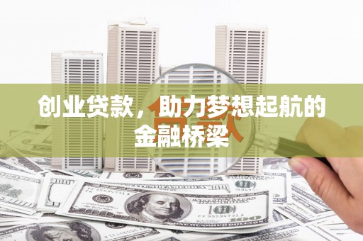 狮子山创业贷款，助力梦想起航的金融桥梁