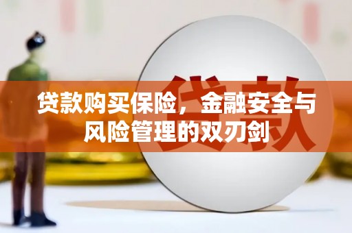 狮子山贷款购买保险，金融安全与风险管理的双刃剑