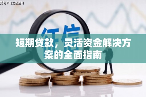 狮子山短期贷款，灵活资金解决方案的全面指南