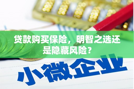 狮子山贷款购买保险，明智之选还是隐藏风险？