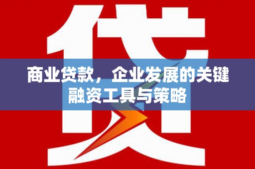 狮子山商业贷款，企业发展的关键融资工具与策略