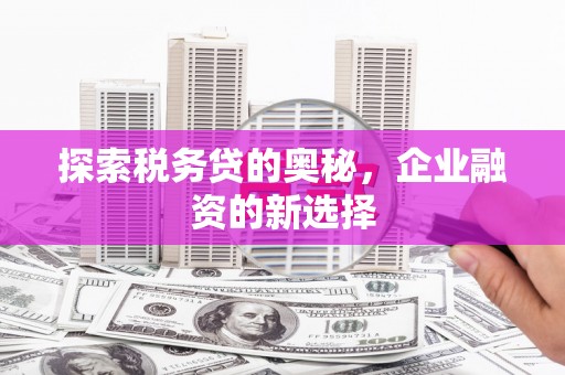狮子山探索税务贷的奥秘，企业融资的新选择