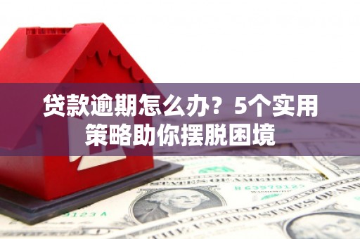 狮子山贷款逾期怎么办？5个实用策略助你摆脱困境