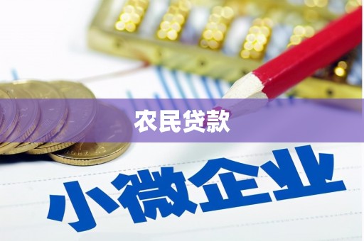 狮子山农民贷款