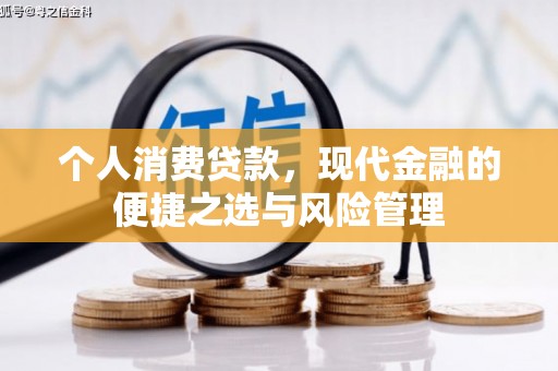 狮子山个人消费贷款，现代金融的便捷之选与风险管理