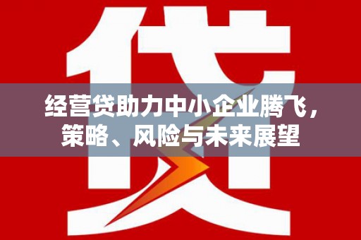 狮子山经营贷助力中小企业腾飞，策略、风险与未来展望