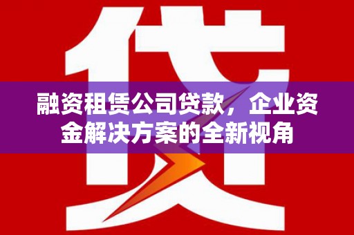 狮子山融资租赁公司贷款，企业资金解决方案的全新视角