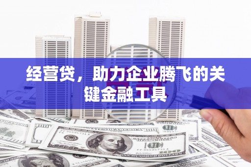 狮子山经营贷，助力企业腾飞的关键金融工具