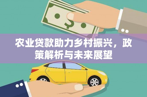 狮子山农业贷款助力乡村振兴，政策解析与未来展望