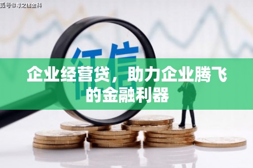 狮子山企业经营贷，助力企业腾飞的金融利器