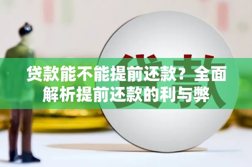 狮子山贷款能不能提前还款？全面解析提前还款的利与弊