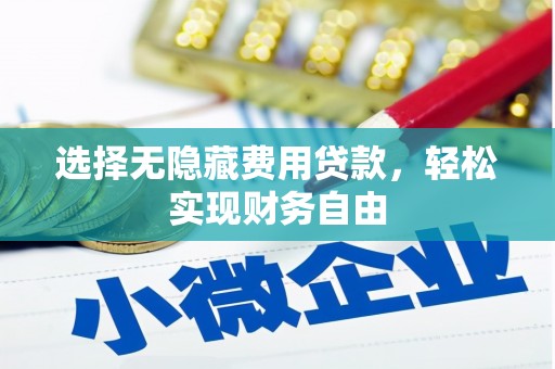 狮子山选择无隐藏费用贷款，轻松实现财务自由