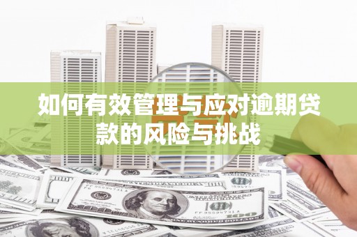 狮子山如何有效管理与应对逾期贷款的风险与挑战