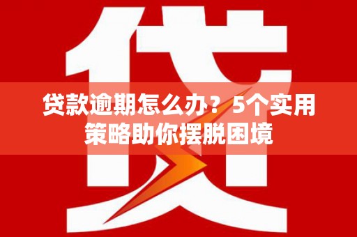 狮子山贷款逾期怎么办？5个实用策略助你摆脱困境