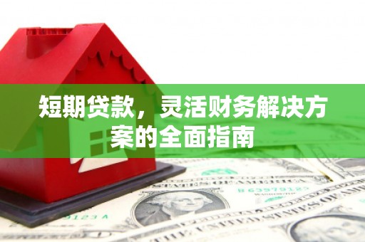 狮子山短期贷款，灵活财务解决方案的全面指南