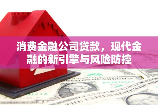 狮子山消费金融公司贷款，现代金融的新引擎与风险防控