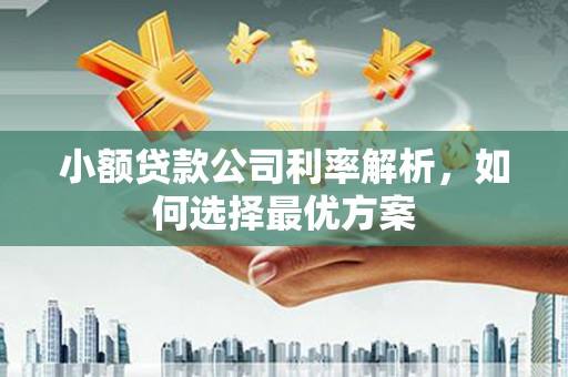 狮子山小额贷款公司利率解析，如何选择最优方案