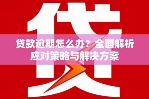 狮子山贷款逾期怎么办？全面解析应对策略与解决方案