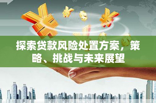 狮子山探索贷款风险处置方案，策略、挑战与未来展望