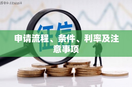 狮子山申请流程、条件、利率及注意事项