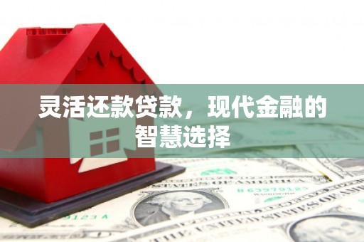 狮子山灵活还款贷款，现代金融的智慧选择