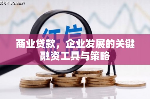 狮子山商业贷款，企业发展的关键融资工具与策略