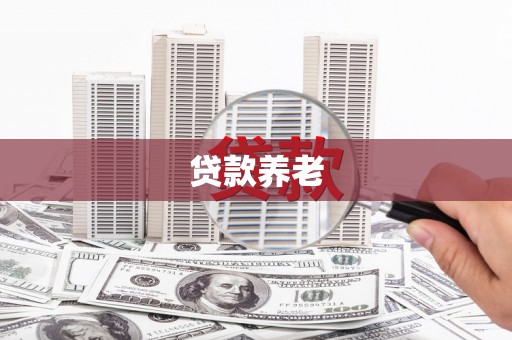 狮子山贷款养老