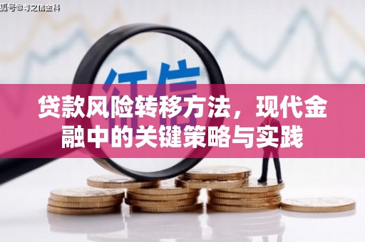 狮子山贷款风险转移方法，现代金融中的关键策略与实践