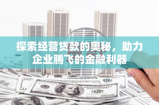 狮子山探索经营贷款的奥秘，助力企业腾飞的金融利器
