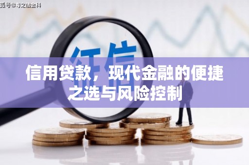 狮子山信用贷款，现代金融的便捷之选与风险控制