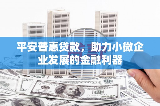 狮子山平安普惠贷款，助力小微企业发展的金融利器