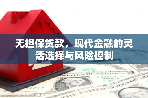 狮子山无担保贷款，现代金融的灵活选择与风险控制