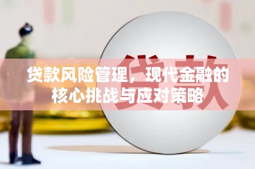 狮子山贷款风险管理，现代金融的核心挑战与应对策略