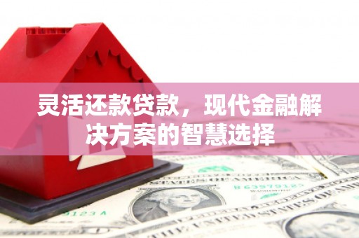 狮子山灵活还款贷款，现代金融解决方案的智慧选择