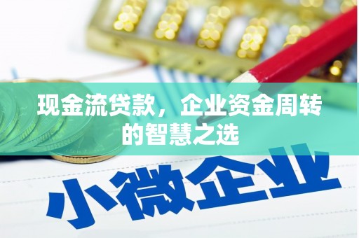 狮子山现金流贷款，企业资金周转的智慧之选
