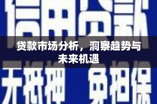 狮子山贷款市场分析，洞察趋势与未来机遇