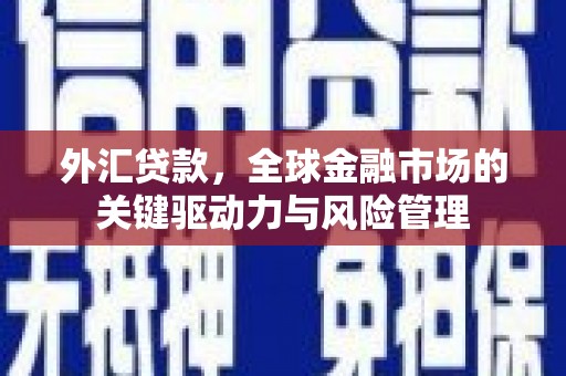 狮子山外汇贷款，全球金融市场的关键驱动力与风险管理