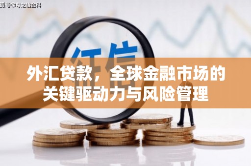 狮子山外汇贷款，全球金融市场的关键驱动力与风险管理