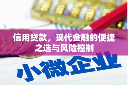 狮子山信用贷款，现代金融的便捷之选与风险控制