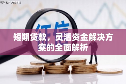 狮子山短期贷款，灵活资金解决方案的全面解析