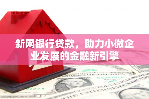 狮子山新网银行贷款，助力小微企业发展的金融新引擎