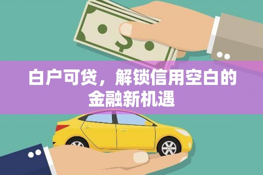 狮子山白户可贷，解锁信用空白的金融新机遇